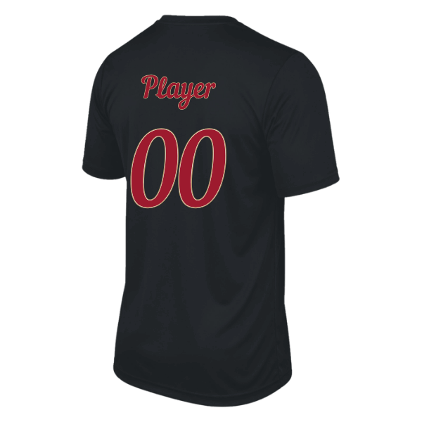 Baseball Majors–Andrix Vision Performance Short-Sleeve Tee – Spartan Helmet – Black – back mockup