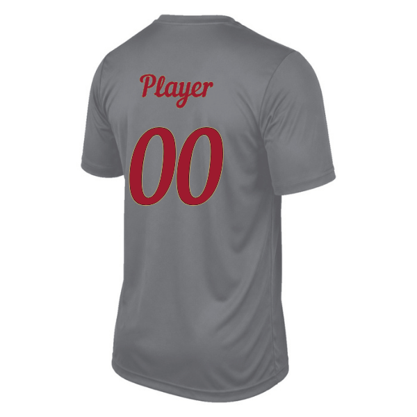 Baseball Majors–Andrix Vision Performance Short-Sleeve Tee – Spartan Helmet – Charcoal – back mockup