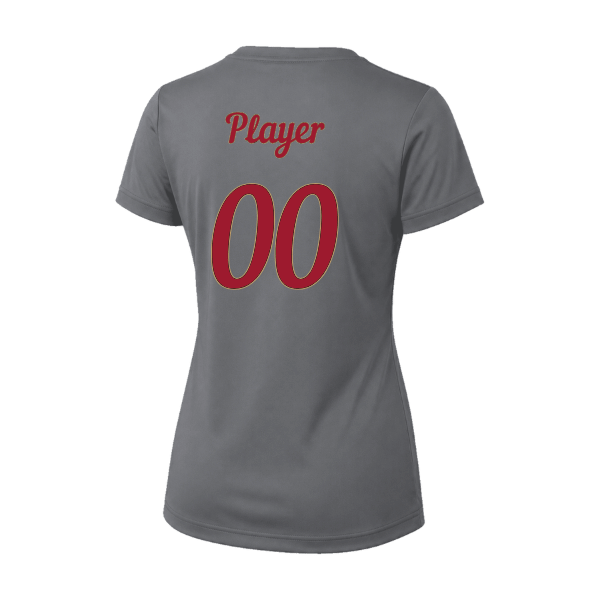 Baseball Majors–Andrix Vision Women's Performance Short-Sleeve Tee – National Script – Charcoal – back mockup
