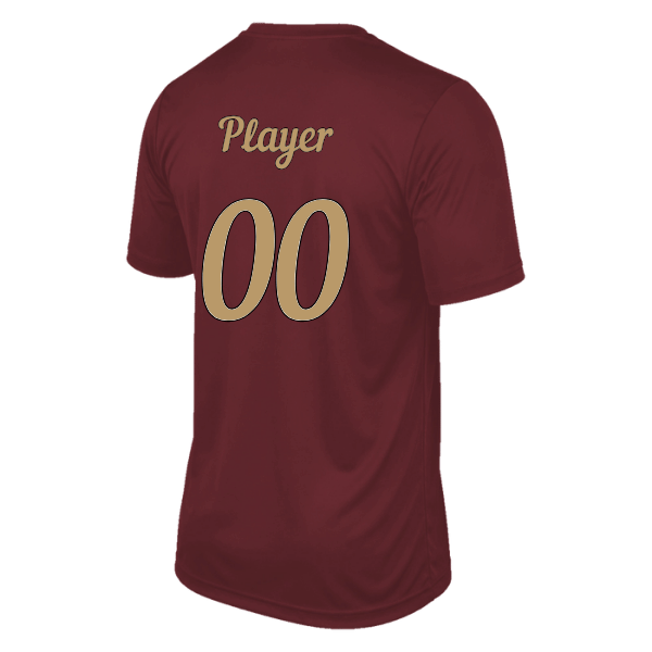 Baseball Majors–Andrix Youth Vision Performance Short-Sleeve Tee – Spartan Helmet – Cardinal – back mockup