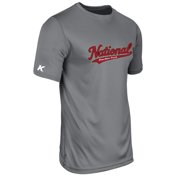 Baseball Majors–Andrix Youth Vision Performance Short-Sleeve Tee – National Script – Charcoal – front mockup