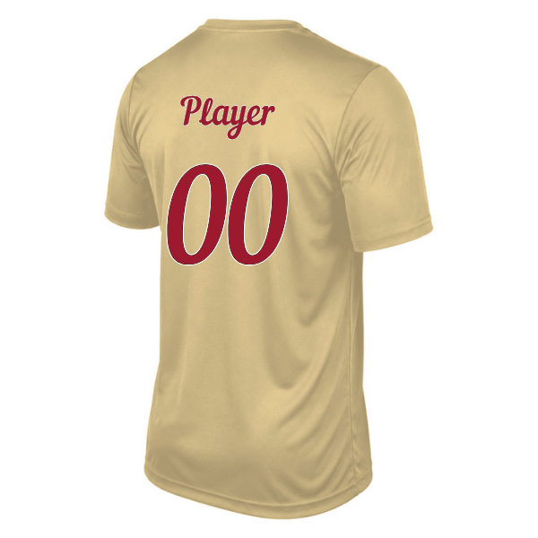 Baseball Majors–Andrix Youth Vision Performance Short-Sleeve Tee – National Script – Vegas Gold – back mockup
