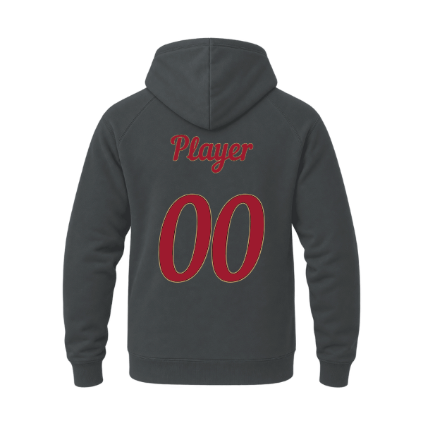 Baseball Majors–Andrix Unisex Heavyweight Hooded Sweatshirt – National Script – Asphalt – back mockup
