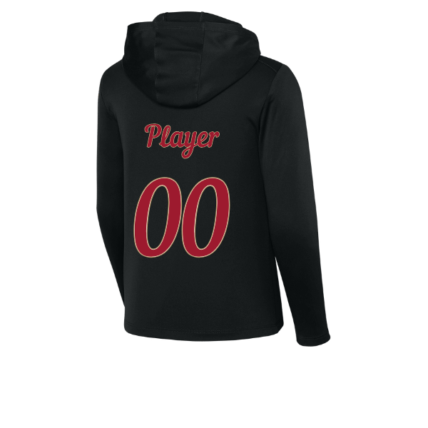 Baseball Majors–Andrix Youth Posi-UV Pro Long-Sleeve Hoodie – National Script – Black – back mockup