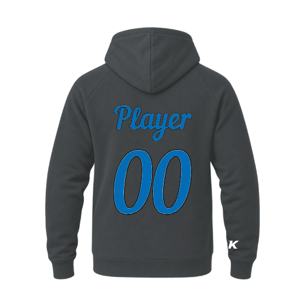 Baseball Majors–Taulbee Unisex Heavyweight Hooded Sweatshirt – Asphalt – back mockup