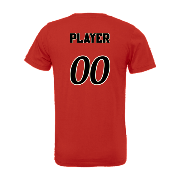 Baseball Seniors–Andrix Unisex Jersey Short-Sleeve Tee – National Script – Red – back mockup