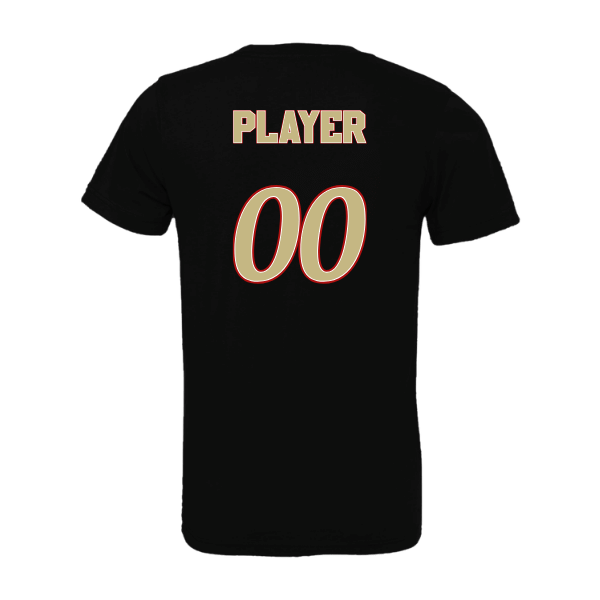 Baseball Seniors–Andrix Unisex Jersey Short-Sleeve Tee – National Aces – Black – back mockup