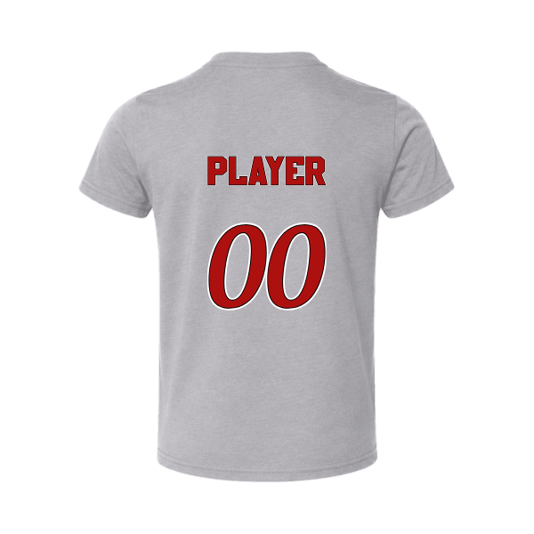 Baseball Seniors–Andrix Toddler Jersey Short-Sleeve Tee – National Script – Athletic Heather – back mockup