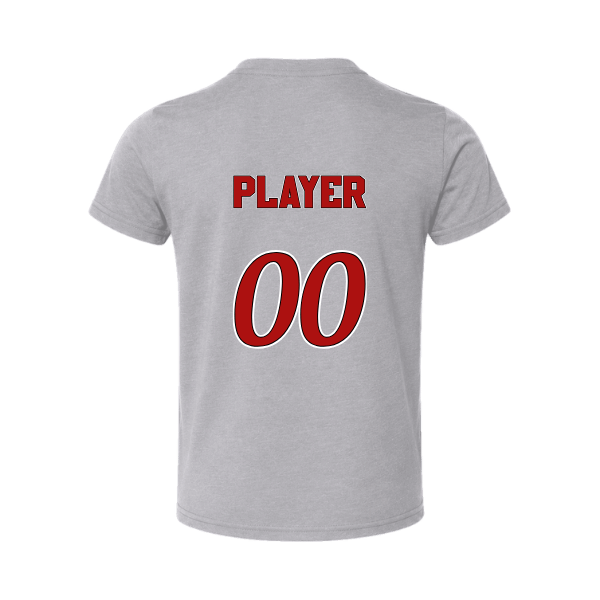 Baseball Seniors–Andrix Toddler Jersey Short-Sleeve Tee – National Aces – Athletic Heather – back mockup