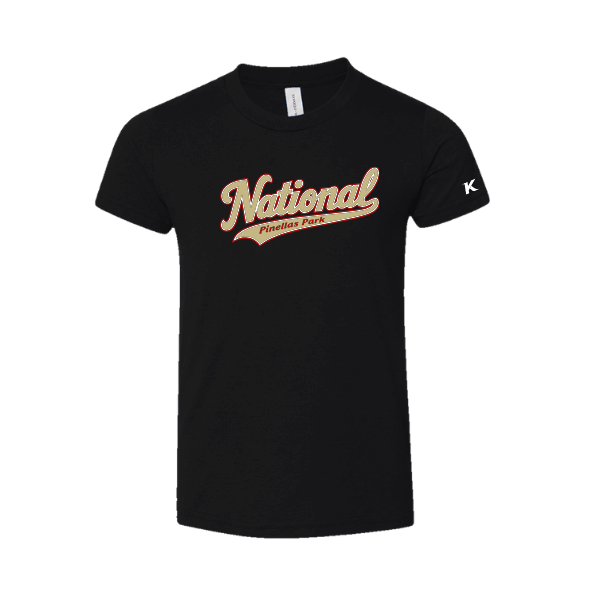 Baseball Seniors–Andrix Youth Jersey Short-Sleeve Tee – National Script – Black – front mockup