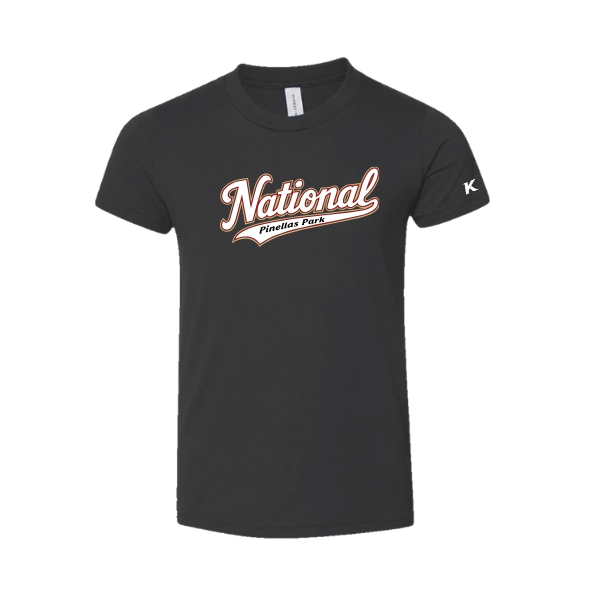 Baseball Seniors–Andrix Youth Jersey Short-Sleeve Tee – National Script – Dark Gray – front mockup