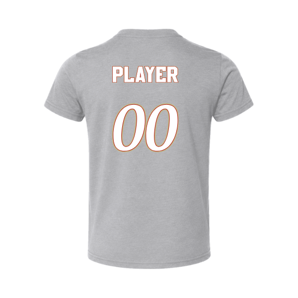 Baseball Seniors–Andrix Youth Jersey Short-Sleeve Tee – National Aces – Athletic Heather – back mockup