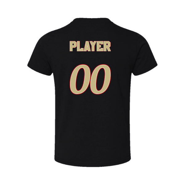 Baseball Seniors–Andrix Youth Jersey Short-Sleeve Tee – National Aces – Black – back mockup