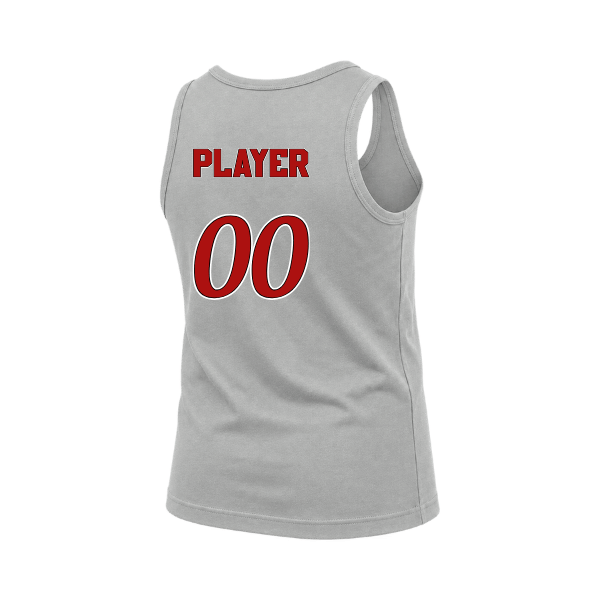 Baseball Seniors–Andrix Youth Jersey Tank – National Script – Athletic Heather – back mockup