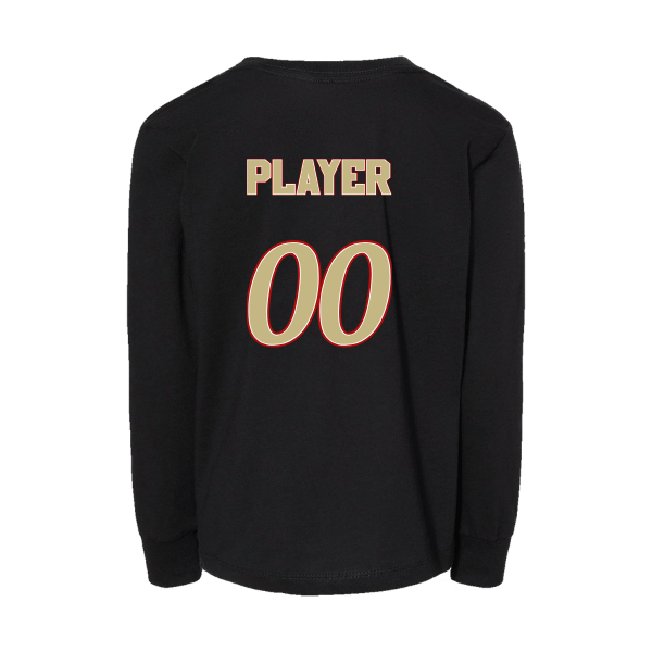 Baseball Seniors–Andrix Toddler Jersey Long-Sleeve Tee – National Script – Black – back mockup