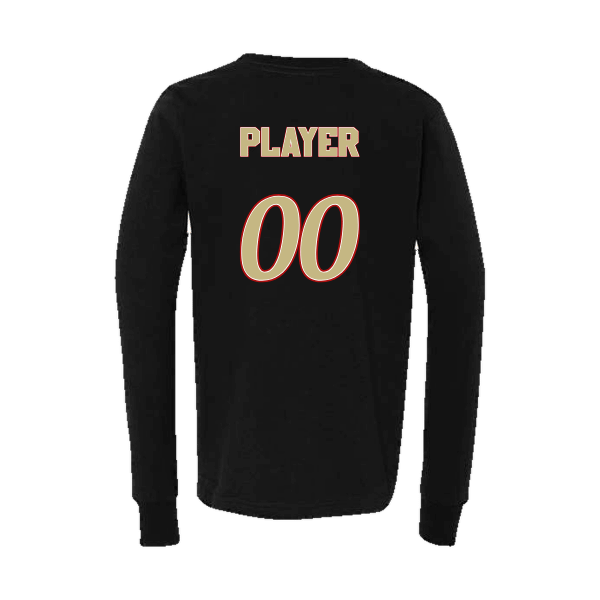 Baseball Seniors–Andrix Youth Jersey Long-Sleeve Tee – National Aces – Black – back mockup