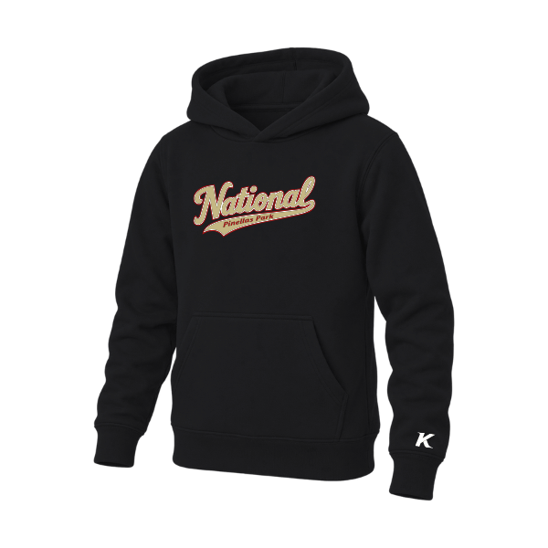 Baseball Seniors–Andrix Youth Sponge Fleece Pullover Hoodie – National Script – Black – front mockup