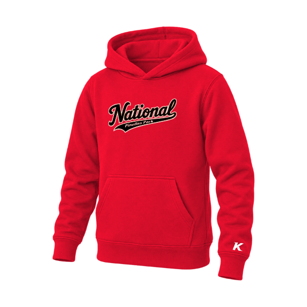 Baseball Seniors–Andrix Youth Sponge Fleece Pullover Hoodie – National Script – Red – front mockup