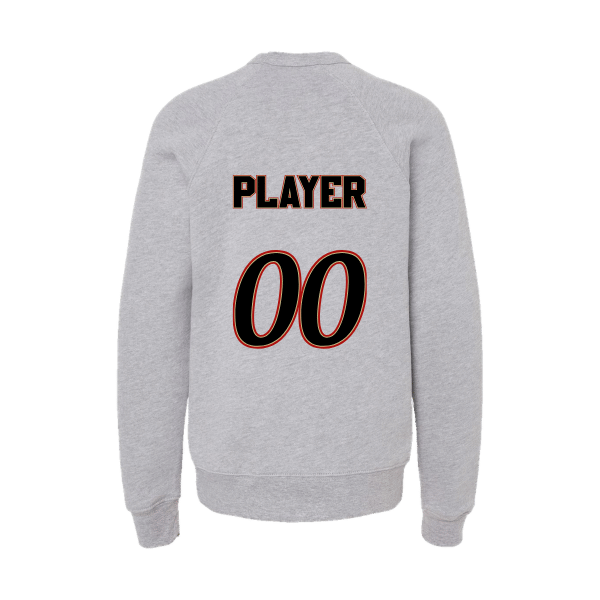 Baseball Seniors–Andrix Youth Sponge Fleece Crewneck Sweatshirt – National Script – Athletic Heather – back mockup