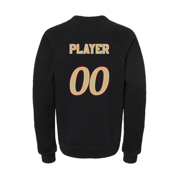 Baseball Seniors–Andrix Youth Sponge Fleece Crewneck Sweatshirt – National Script – Black – back mockup
