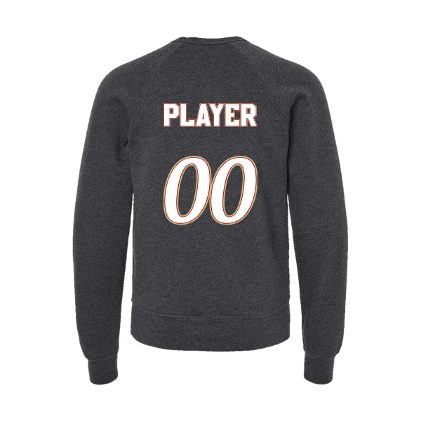 Baseball Seniors–Andrix Youth Sponge Fleece Crewneck Sweatshirt – National Aces – Dark Gray Heather – back mockup
