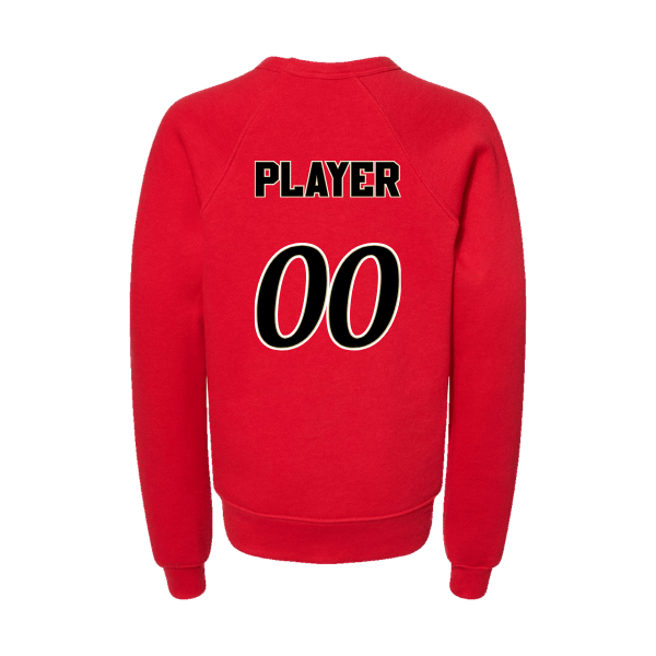 Baseball Seniors–Andrix Youth Sponge Fleece Crewneck Sweatshirt – National Aces – Red – back mockup