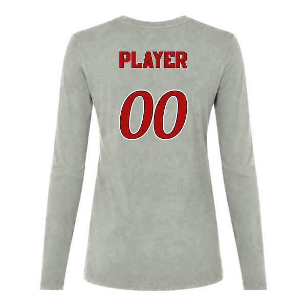 Baseball Seniors–Andrix Women's Jersey Long-Sleeve Tee – National Script – Athletic Heather – back mockup