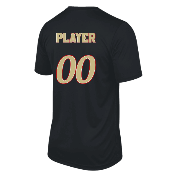 Baseball Seniors–Andrix Vision Performance Short-Sleeve Tee – National Aces – Black – back mockup