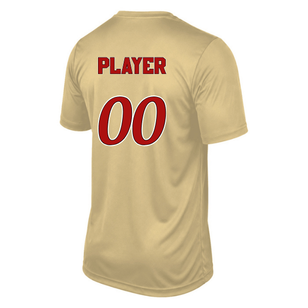 Baseball Seniors–Andrix Vision Performance Short-Sleeve Tee – National Aces – Vegas Gold – back mockup
