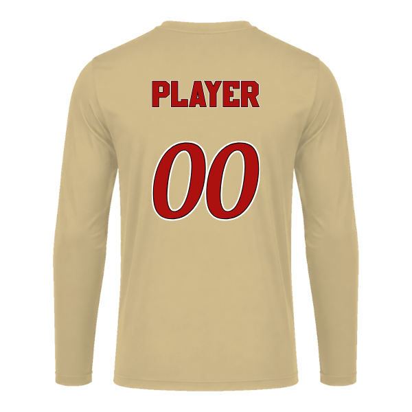 Baseball Seniors–Andrix Vision Performance Long-Sleeve Tee – National Aces – Vegas Gold – back mockup