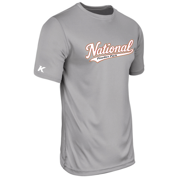 Baseball Seniors–Andrix Youth Vision Performance Short-Sleeve Tee – National Script – Silver – front mockup