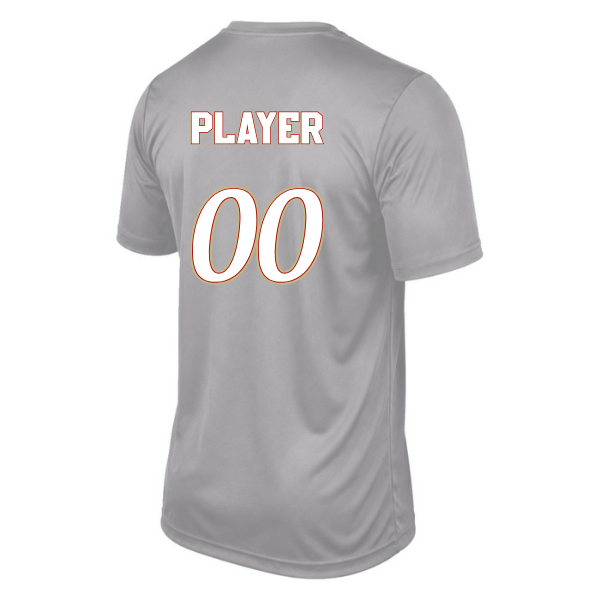 Baseball Seniors–Andrix Youth Vision Performance Short-Sleeve Tee – National Script – Silver – back mockup