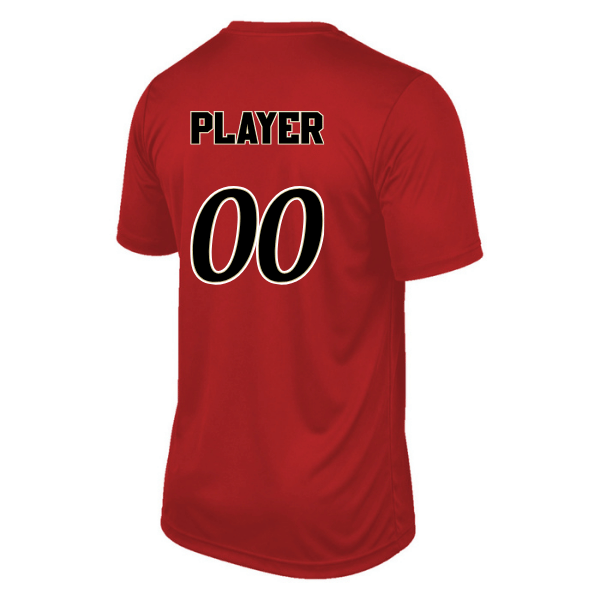 Baseball Seniors–Andrix Youth Vision Performance Short-Sleeve Tee – National Aces – Scarlet – back mockup