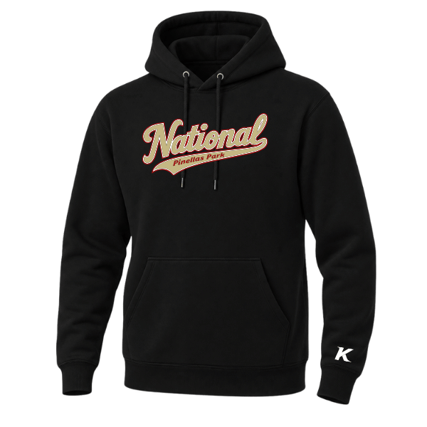 Baseball Seniors–Andrix Unisex Premium Pullover Hooded Sweatshirt – National Script – Black – front mockup