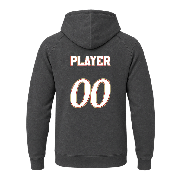 Baseball Seniors–Andrix Unisex Premium Pullover Hooded Sweatshirt – National Script – Charcoal Heather – back mockup