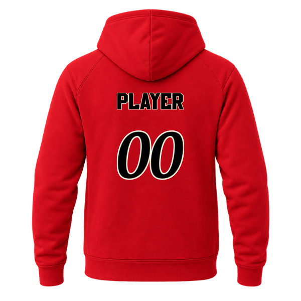 Baseball Seniors–Andrix Unisex Premium Pullover Hooded Sweatshirt – National Script – Red – back mockup
