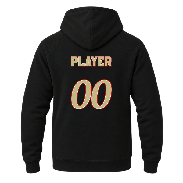 Baseball Seniors–Andrix Unisex Premium Pullover Hooded Sweatshirt – National Aces – Black – back mockup