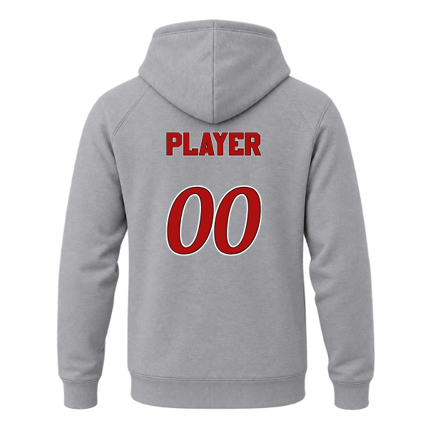 Baseball Seniors–Andrix Unisex Premium Pullover Hooded Sweatshirt – National Aces – Heather Gray – back mockup