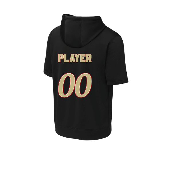 Baseball Seniors–Andrix Sport-Wick Fleece Short Sleeve Hooded Pullover – National Aces – Black – back mockup