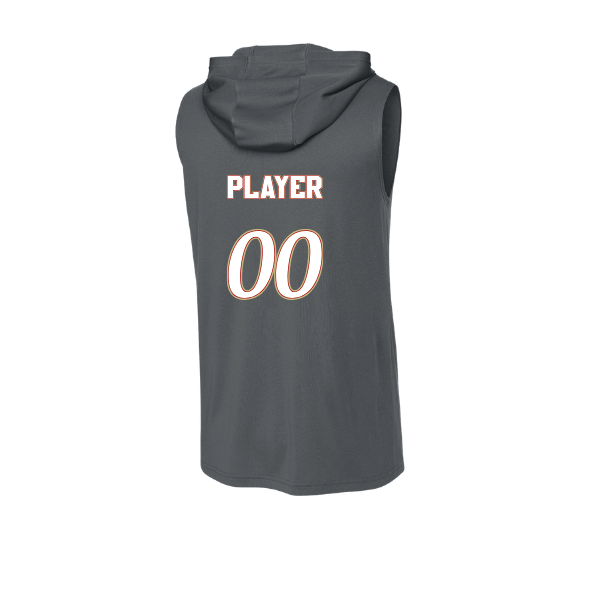 Baseball Seniors–Andrix PosiCharge Competitor Sleeveless Hoodie – National Script – Iron Gray – back mockup