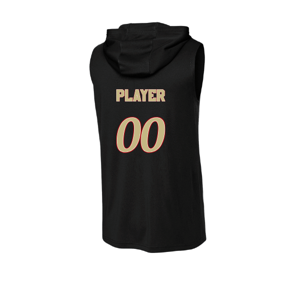 Baseball Seniors–Andrix PosiCharge Competitor Sleeveless Hoodie – National Aces – Black – back mockup
