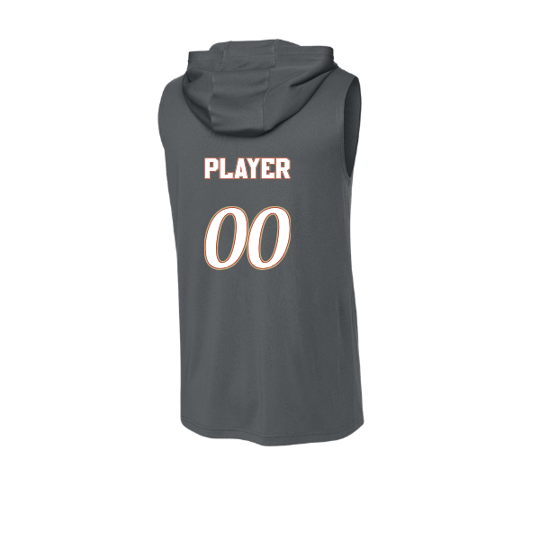 Baseball Seniors–Andrix PosiCharge Competitor Sleeveless Hoodie – National Aces – Iron Gray – back mockup