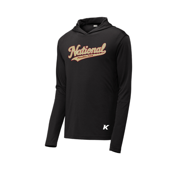 Baseball Seniors–Andrix PosiCharge Competitor Hooded Pullover – National Script – Black – front mockup