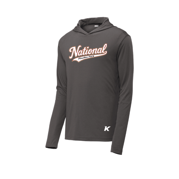 Baseball Seniors–Andrix PosiCharge Competitor Hooded Pullover – National Script – Iron Gray – front mockup