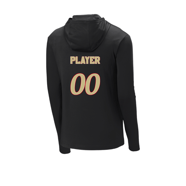 Baseball Seniors–Andrix PosiCharge Competitor Hooded Pullover – National Aces – Black – back mockup
