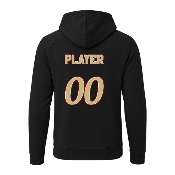 Baseball Seniors–Andrix Sport-Wick Flex Fleece Pullover Hoodie – National Aces – Black – back mockup