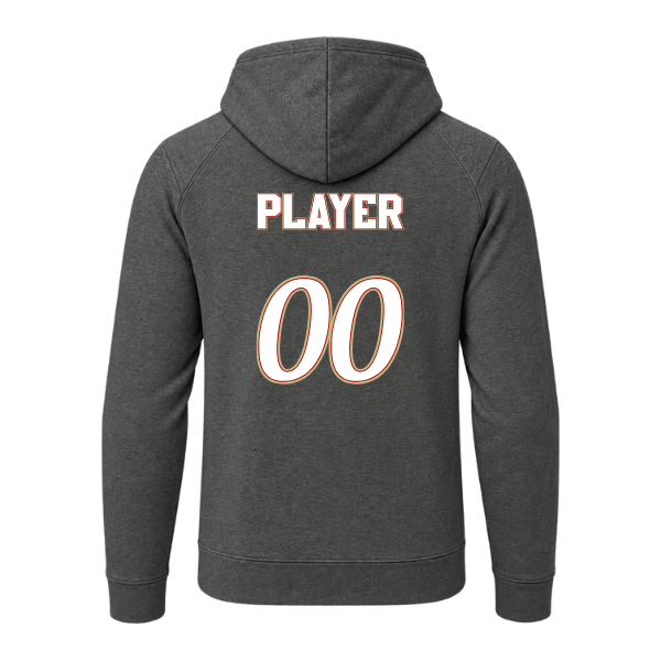 Baseball Seniors–Andrix Sport-Wick Flex Fleece Pullover Hoodie – National Aces – Dark Gray Heather – back mockup