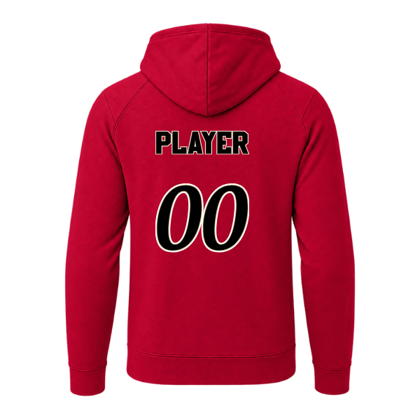 Baseball Seniors–Andrix Sport-Wick Flex Fleece Pullover Hoodie – National Aces – Deep Red – back mockup