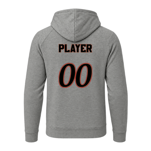 Baseball Seniors–Andrix Sport-Wick Flex Fleece Pullover Hoodie – National Aces – Light Gray Heather – back mockup