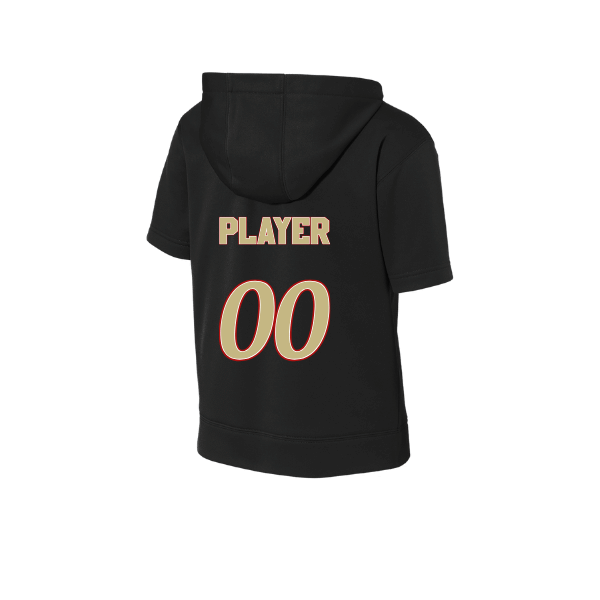 Baseball Seniors–Andrix Youth Sport-Wick Fleece Short Sleeve Hooded Pullover – National Aces – Black – back mockup
